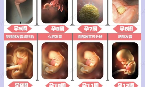怀孕乳房有少量血水-怀孕期间乳腺肿块有血流信号-专业怀孕期间乳腺肿块有血流信号怎么回事平台-怀孕期间乳房出血怎么回事