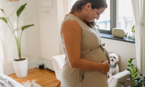 孕妇乳房血管明显怎么回事-怀孕期间乳腺肿块有血流信号-专业怀孕期间乳腺肿块有血流信号怎么回事平台-怀孕期间乳房出血怎么回事